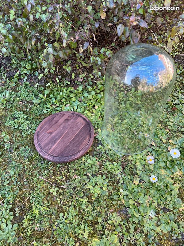 Globe de mariee (image 5)