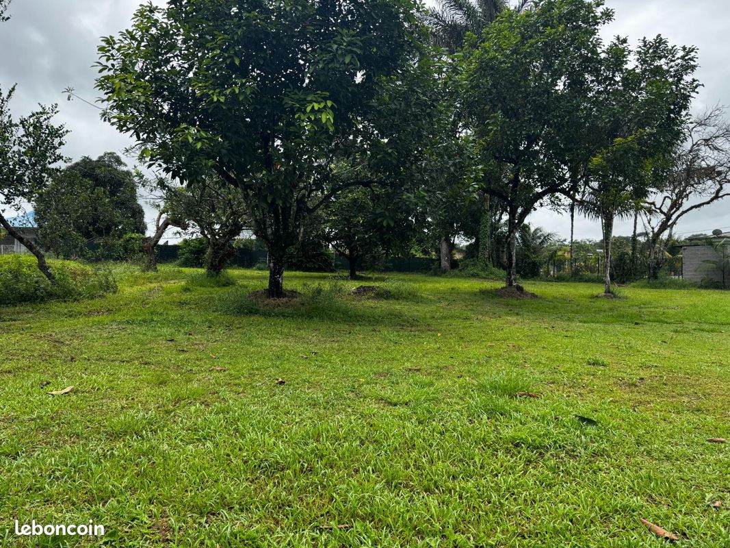 Terrain 1329 m² · à Matoury · 1 329 m² · 165 000 €