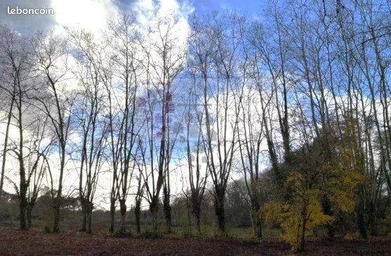 Terrain Martillac · 209 800 €