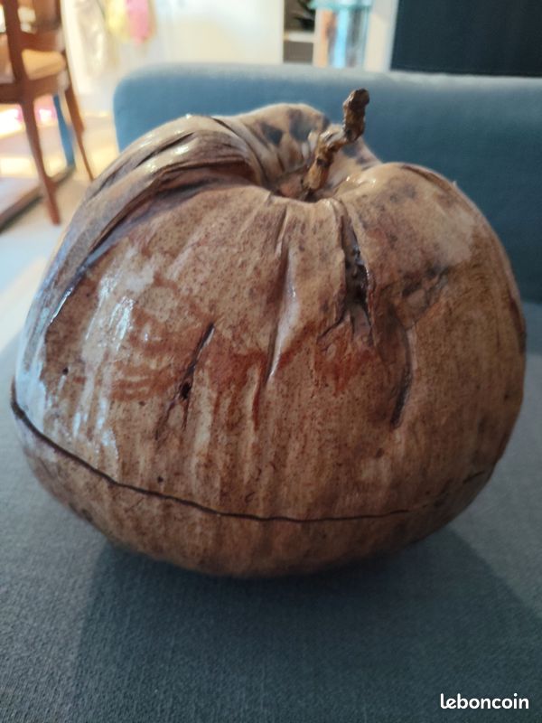 Noix de coco seau à glaçons (image 2)