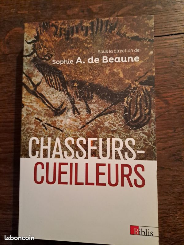 Chasseurs-cueilleurs. Comment vivaient nos ancêtres du Paléolithique supérieur. Sophie A. De Beaune (dir.) (image 1)