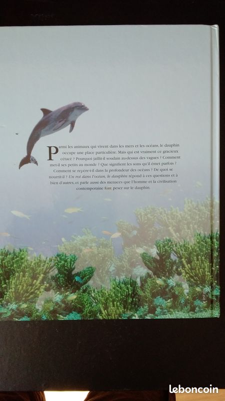Lecture pour enfant (image 2)