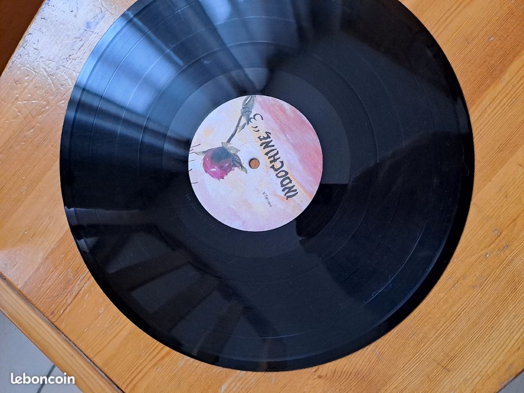 Vinyle Indochine 33T (image 3)
