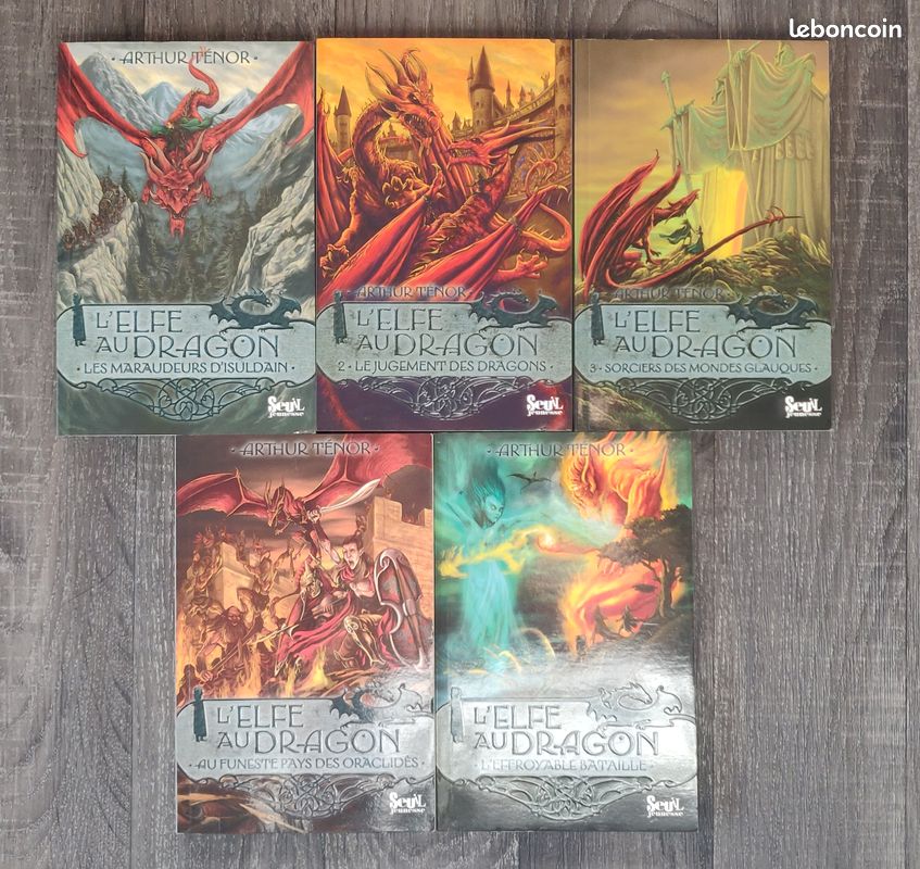 Livre fantastique : L'Elfe au Dragon (image 1)