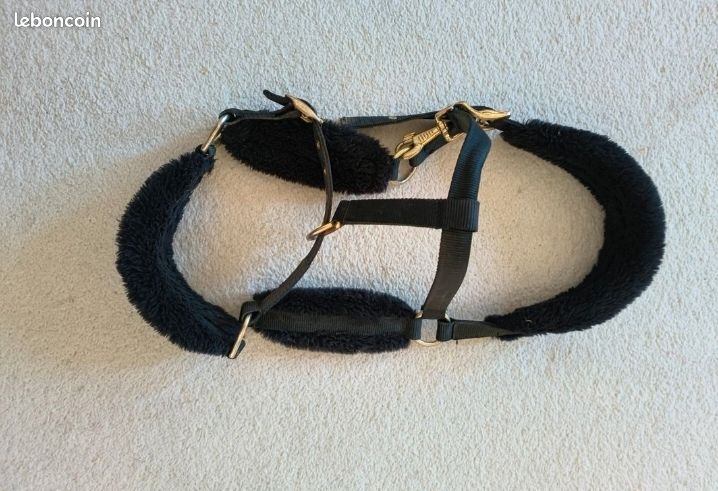 Vend Licol avec longe
Marque : fouganza
Couleur : noir et dorée
Taille : cheval (size3)
Etat : bonne état (image 1)