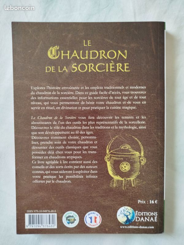 Le Chaudron de la Sorcière - L'art, les traditions et la magie des récipients rituels (image 2)