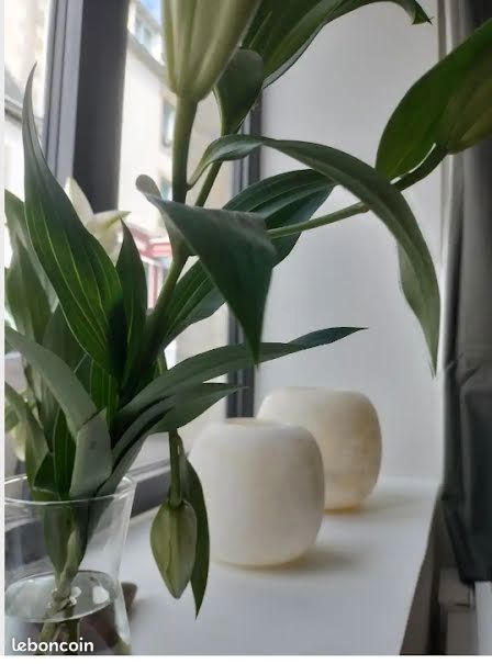 Appartement 2 pièces 50 m² · à Bénodet · 50 m² · 850 €/mois