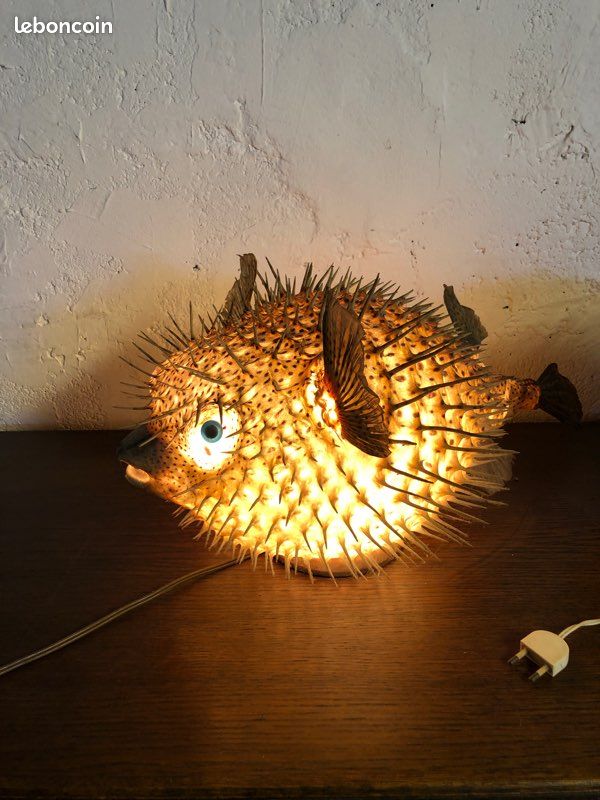 Poisson lune diodon (image 1)
