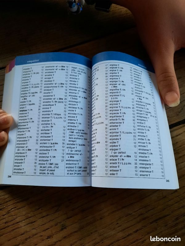 Livre aide à la conjugaison (image 8)