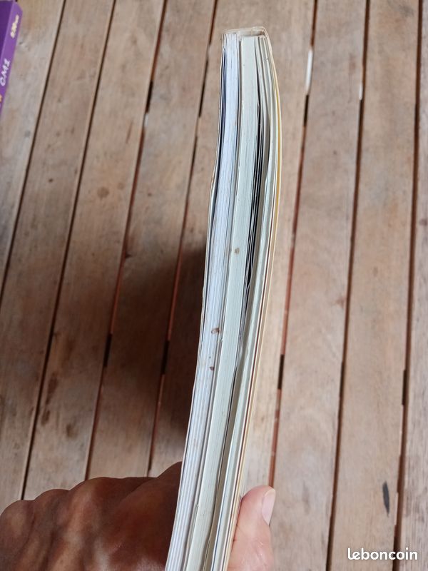 Pour une classe réussie en CM1 (image 10)