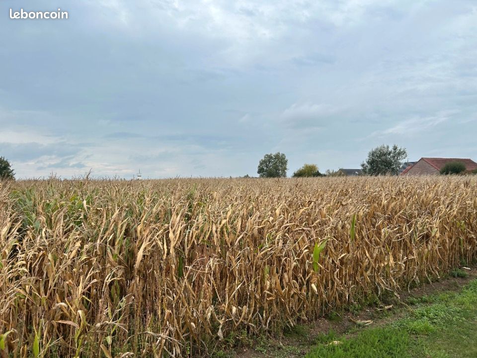 Terrain 2400 m² · à Hinges · 132 000 €