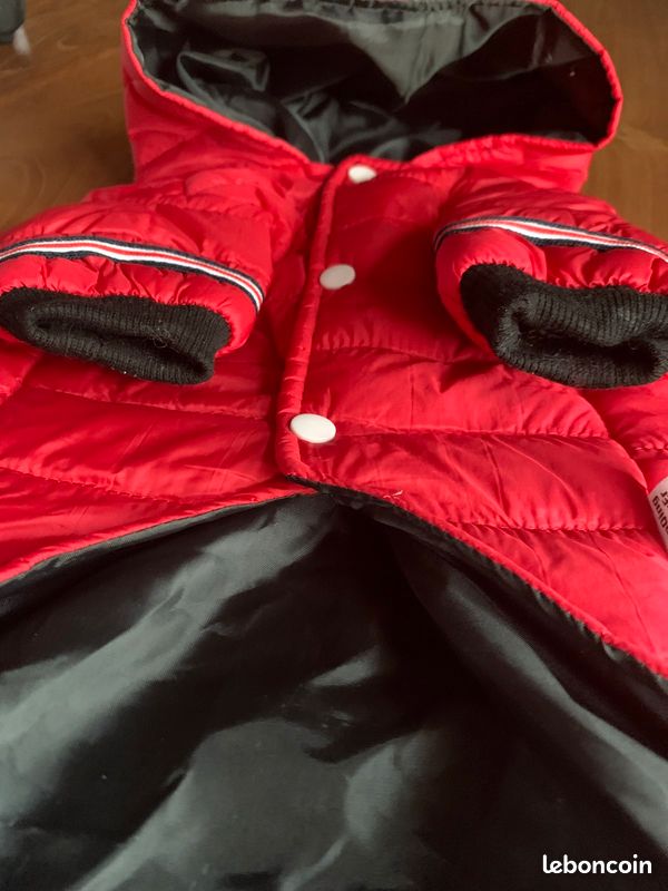 Manteau chien (image 4)