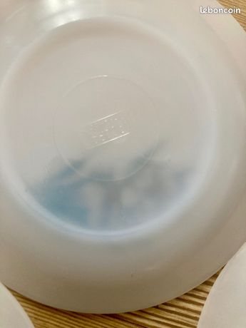 E4/ ARCOPAL ARC FRANCE 6 GRANDES ASSIETTES OPALINE FLEUR NARCISSE 23CM