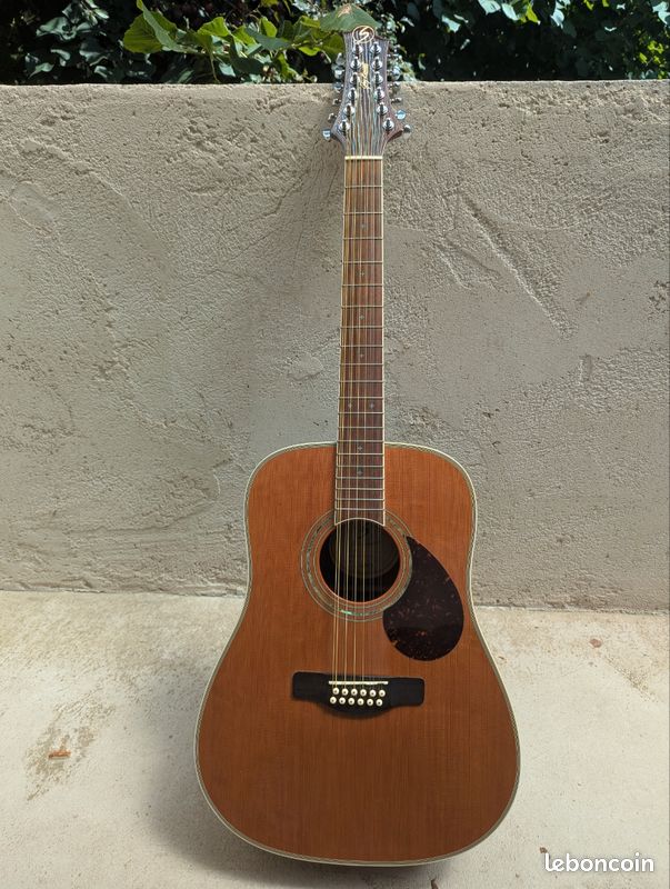 Guitare 12 Cordes Samick modèle Greg Bennett D 7 (image 1)