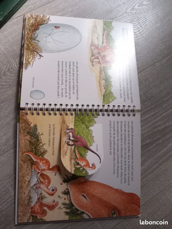 Lot livres sur les dinosaures (image 3)