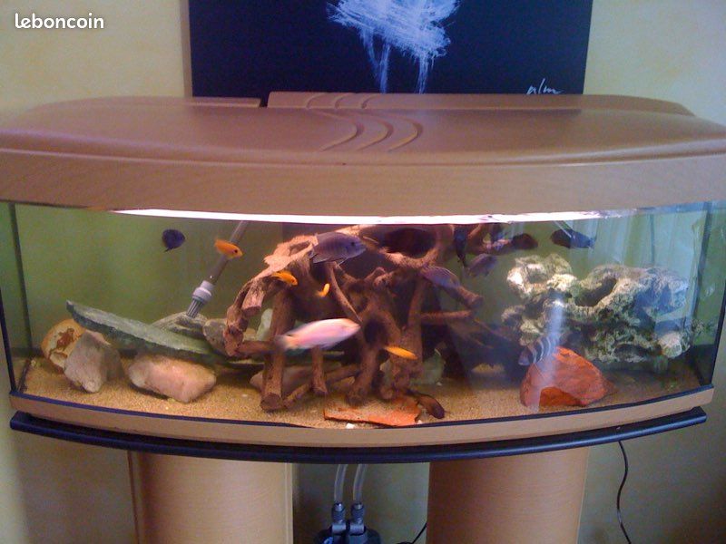 Aquarium bombé 180 l (image 2)