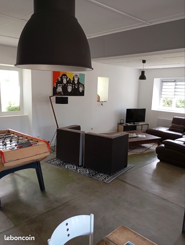 Loft 120m2 dominant la ville (image 3)