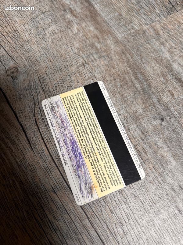 Passeport Annuel Disneyland Paris Vintage (image 2)