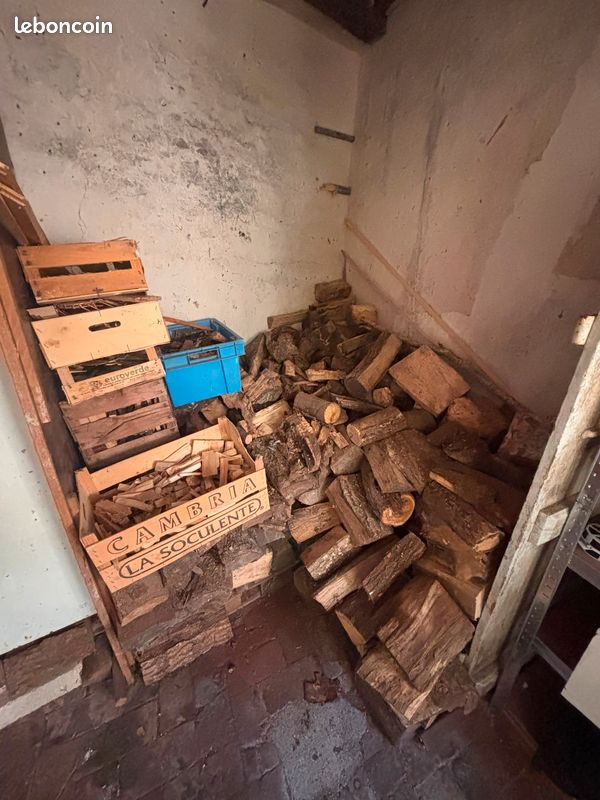 3 Lot de Bois de Chauffage Sec Bûches 30 cm (+ Petit Bois / Allume-feu) – ~5 Stères (image 1)