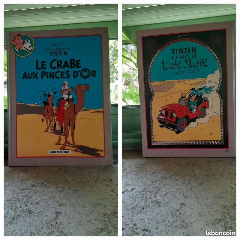 Collection complète BD Tintin 9 albums doubles (image 10)