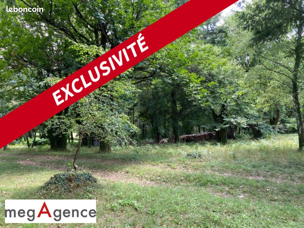 Terrain 2384 m² · à Tulle · 2 384 m² · 19 000 €