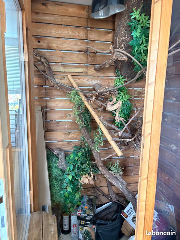 Terrarium fait maison (image 2)