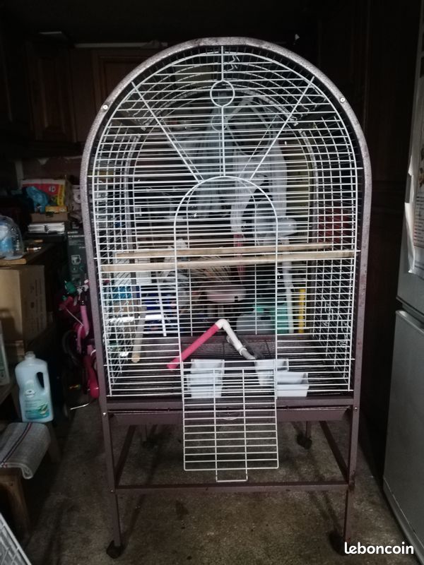 Cage perroquet (image 1)