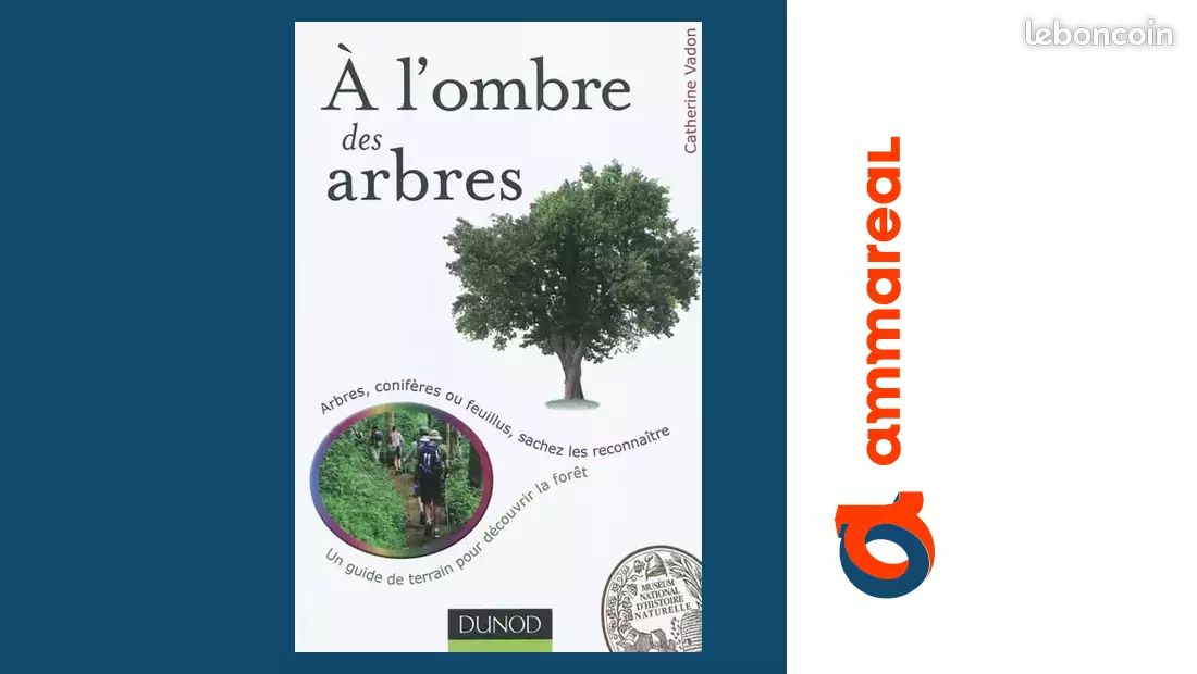 A l'ombre des arbres - Un guide de terrain pour découvrir la forêt - Catherine Vadon et Museum... (image 1)