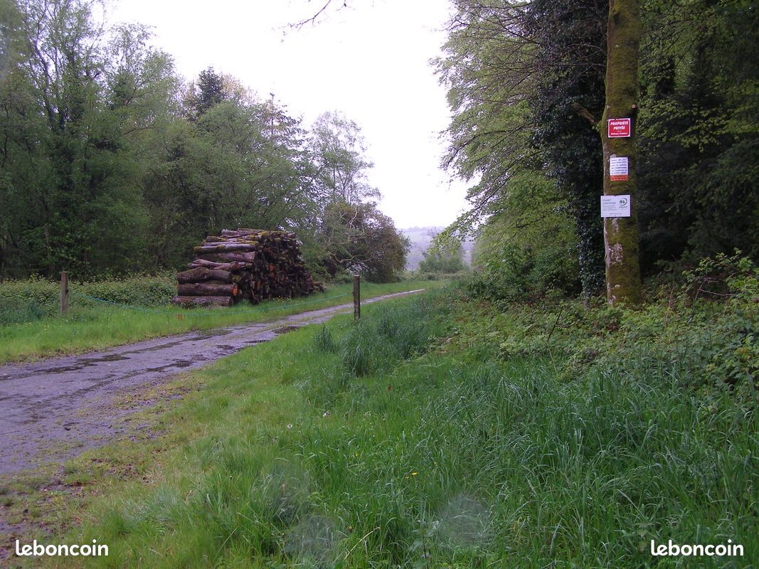 Action de chasse grand gibier 2025-2026 (image 4)