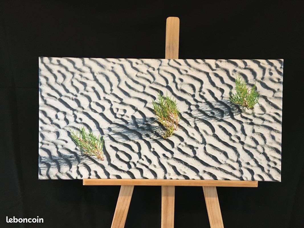 Photos imprimées sur toile cadre bois (image 10)