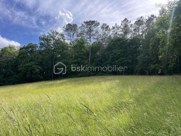 Forêt 21 860 m² La Douze
