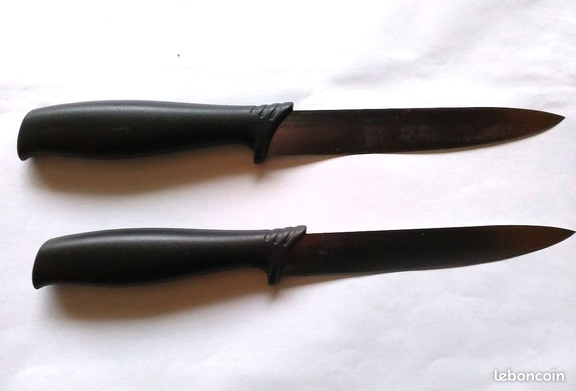 Lot de 2 couteaux en acier tous usages Brabantia (image 2)