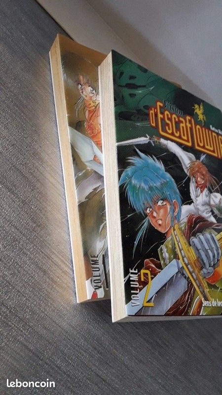 Vision d'Escaflowne 1 et 2 (image 2)