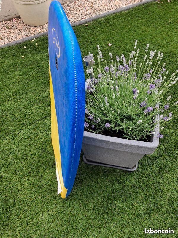 2 Planches de Surf- Spider Man Pour Enfant (image 9)