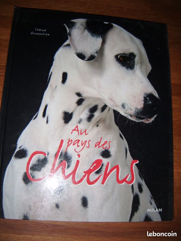 Choisir son chien (image 2)