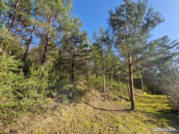 Terrain 2 634 m² Chasteaux