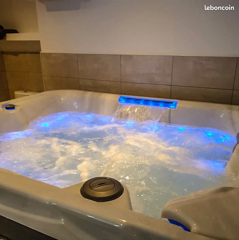 Gite SPA et SAUNA (image 3)