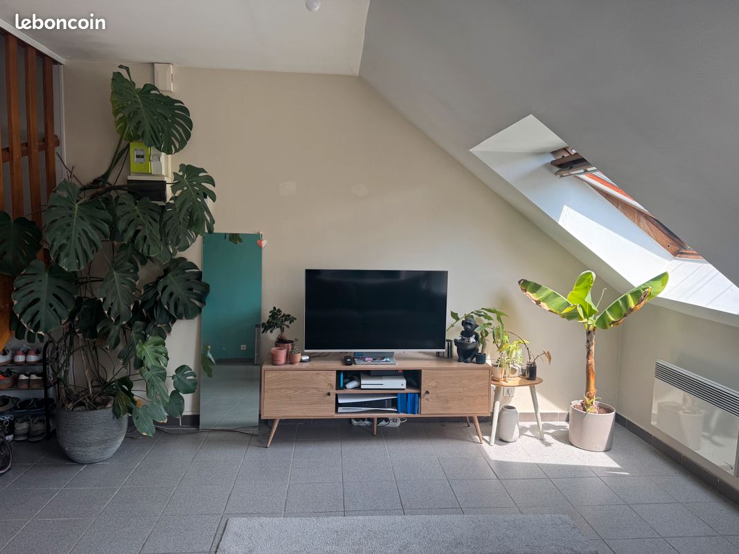Appartement 2 pièces 50 m² · à Saint-Amand-les-Eaux · 50 m² · 685 €/mois