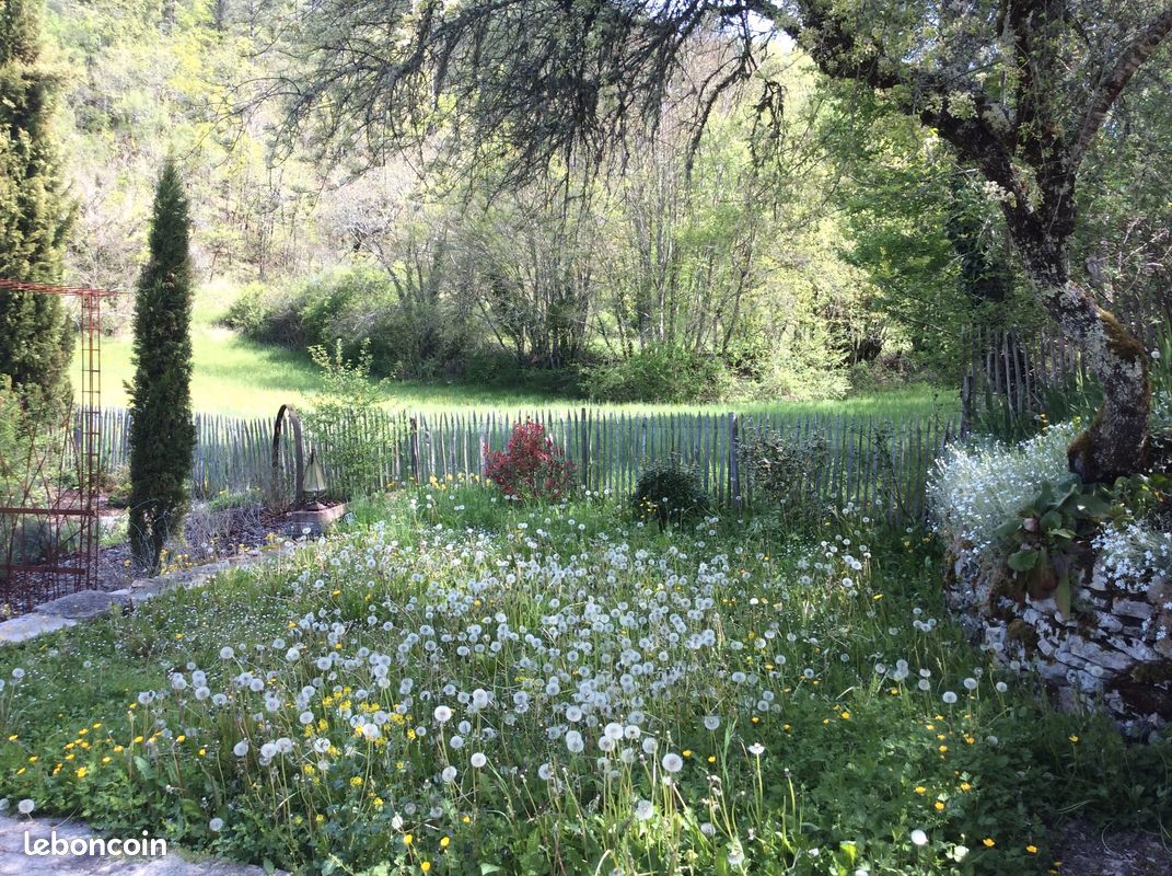 Location vacances Vaillac (image 8)