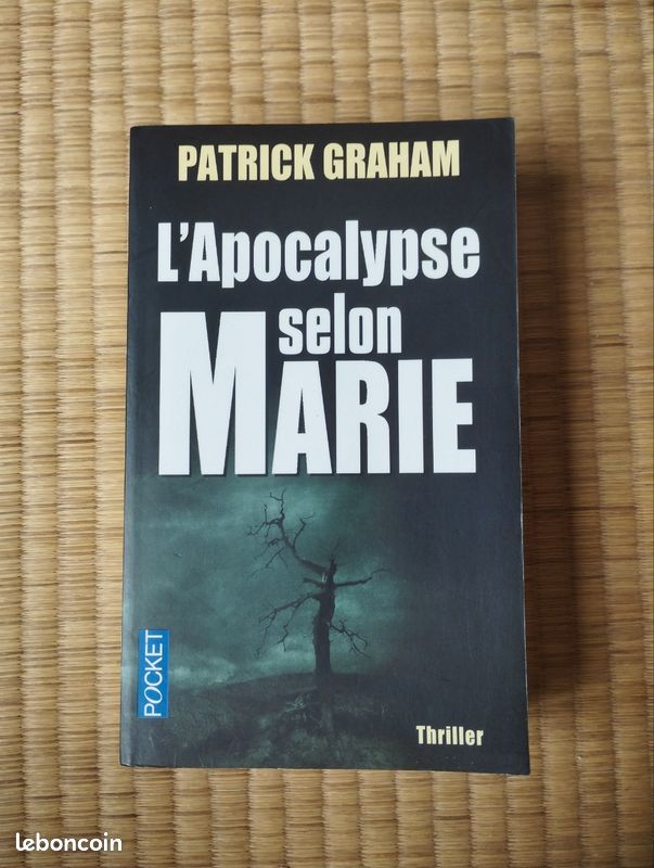 L'apocalypse selon Marie (image 2)