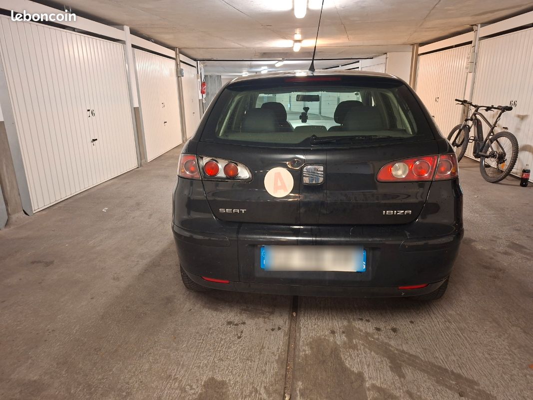 Seat Ibiza (image 3)