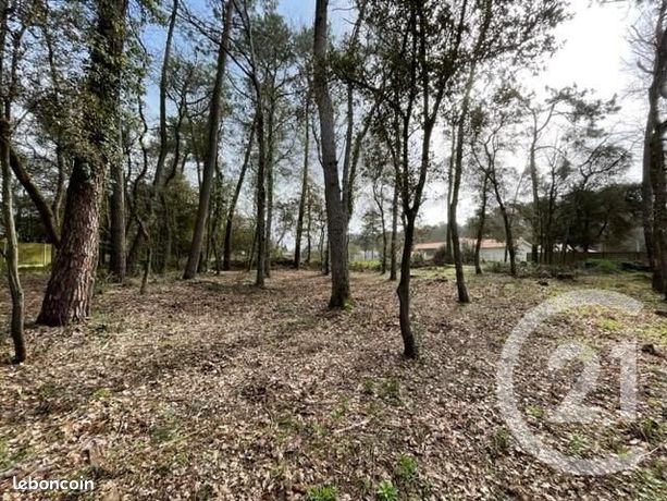 Terrain 841 m² Saint Hilaire De Riez