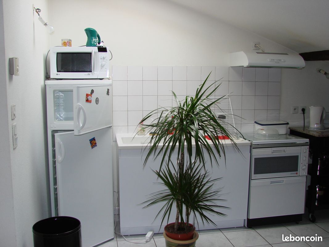 Loue T2 (image 2)
