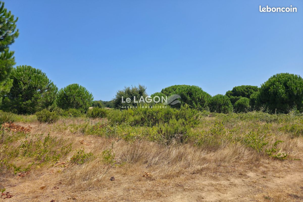 Terrain 311 m² · à Latour-Bas-Elne · 311 m² · 159 000 €