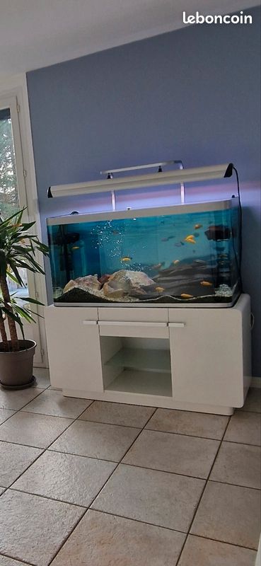 Aquarium osaka 320 (image 1)