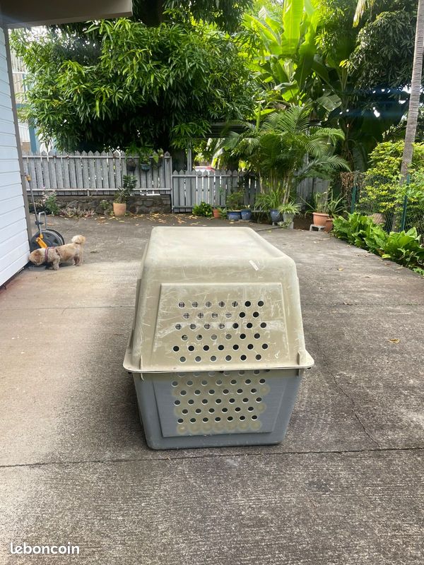 Caisse de transport XXL pour grand chien (image 3)