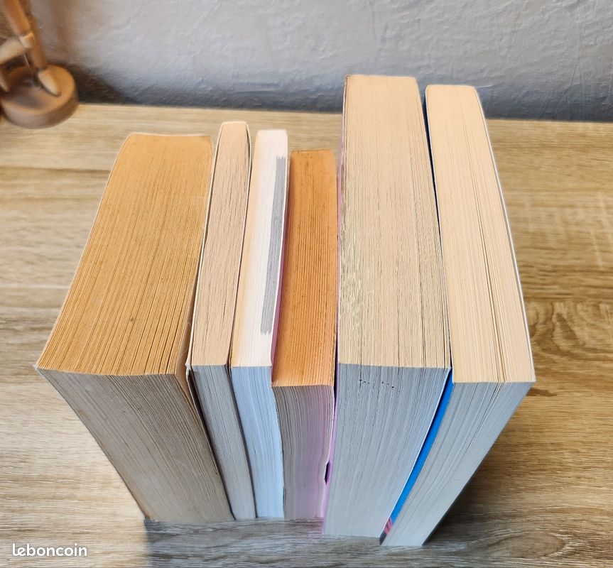 Lot de 6 livres anglais et francais (image 4)