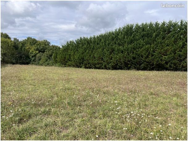 Terrain 2 175 m² Maine De Boixe · à Maine-de-Boixe · 40 000 €