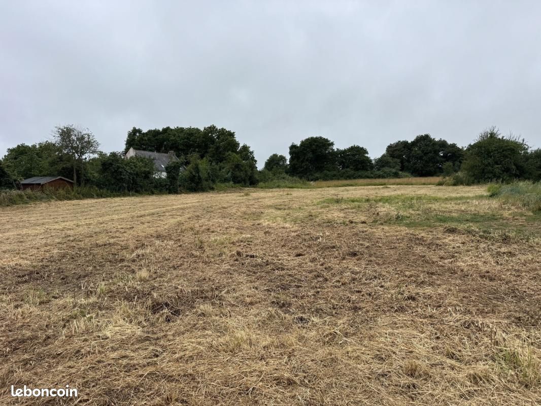 Terrain 1 028 m² Asserac · à Assérac · 106 000 €