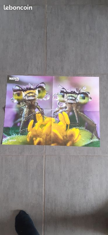 Lot de 3 posters (image 5)